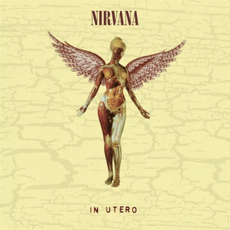 Виниловая пластинка Nirvana - In Utero - deluxe (Black Vinyl 2LP)