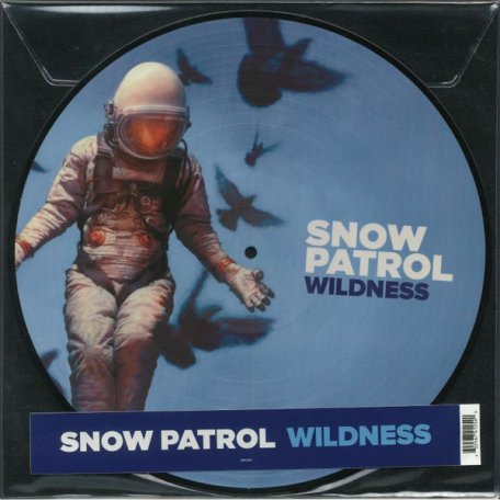 Виниловая пластинка Snow Patrol, Wildness (Picture Disc)