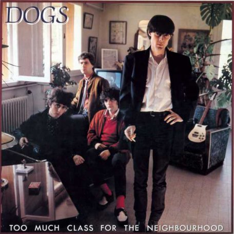 Виниловая пластинка The Dogs TOO MUCH CLASS FOR THE NEIGHBOURHOOD (Coloured vinyl)
