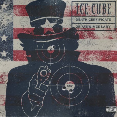 Виниловая пластинка Ice Cube, Death Certificate