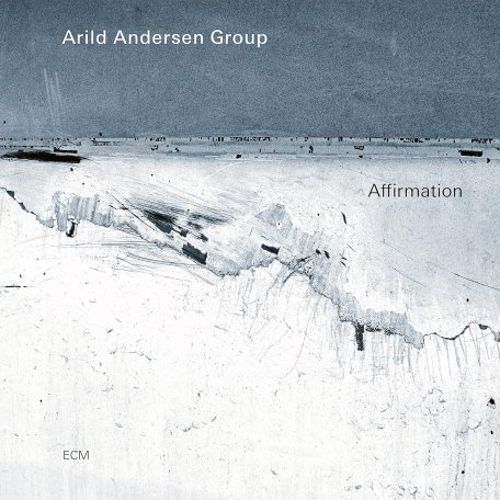 Виниловая пластинка Arild Andersen - Affirmation (Black Vinyl LP)