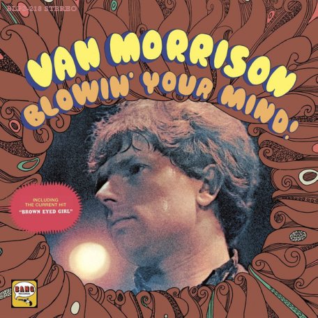 Виниловая пластинка Van Morrison BLOWIN YOUR MIND (180 Gram)