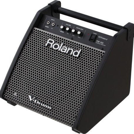 Персональный аудиомонитор Roland PM-100