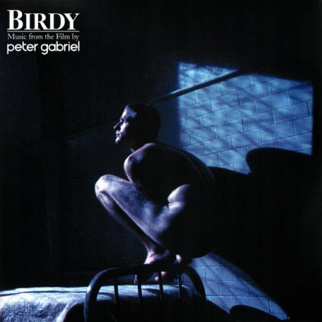 Виниловая пластинка GABRIEL PETER - Birdy (Винил)