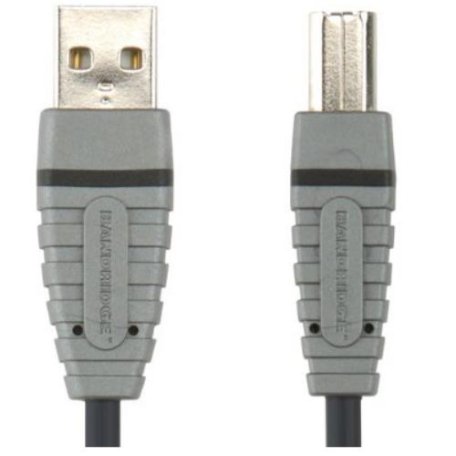 Кабель USB Bandridge BCL4101 2m