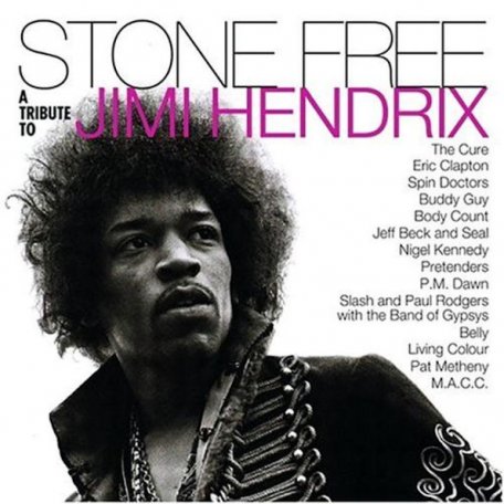 Виниловая пластинка Various Artists - Stone Free (A Tribute To Jimi Hendrix) (Rocktober 2020 / Limited Clear & Black Mixed Vinyl/Gatefold)