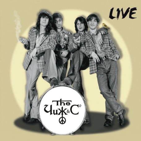 Виниловая пластинка Чиж & Co — Live (LP)