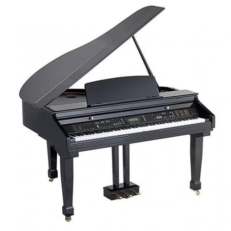Цифровой рояль Orla 438PIA0611 Grand 450 Black