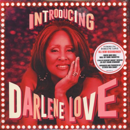 Виниловая пластинка Darlene Love INTRODUCING DARLENE LOVE (180 Gram)