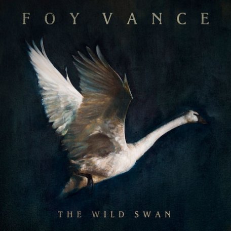 Виниловая пластинка Foy Vance THE WILD SWAN (180 Gram)