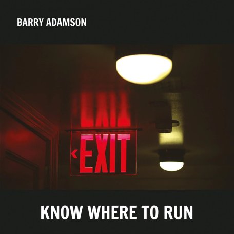 Виниловая пластинка Adamson, Barry - Know Where To Run (Silver Vinyl LP)