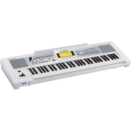 Клавишный инструмент Roland E09W