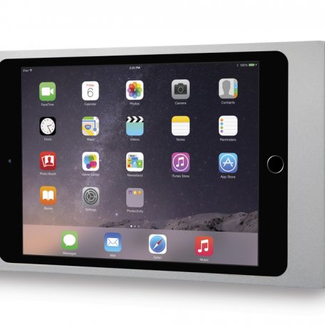 Рамка iPort Surface Mount iPad Mini 4 silver (70723)