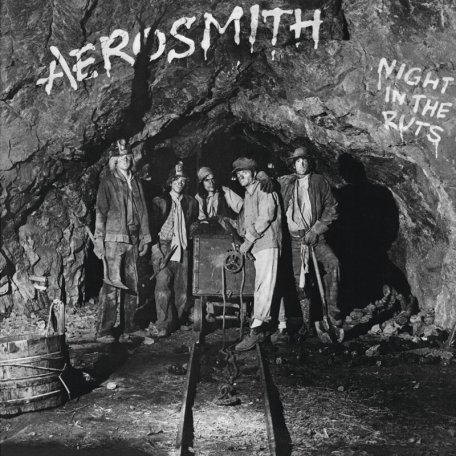 Виниловая пластинка Aerosmith - Night In The Ruts (Black Vinyl LP)