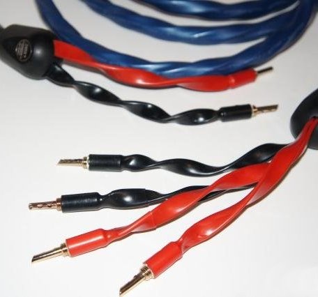 Акустический кабель Wire World Oasis 7 Biwire Speaker Cable 2.0m