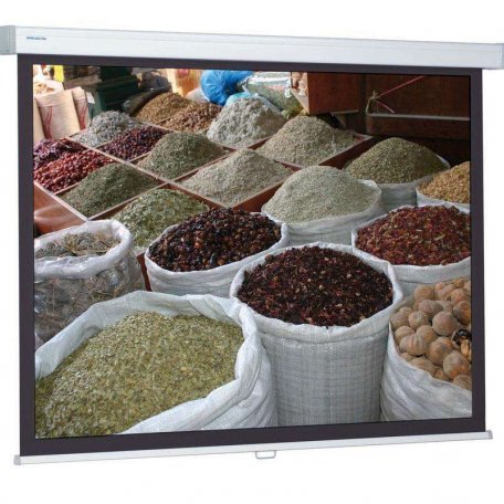 Экран Projecta ProScreen 141x220 cm (97) Matte White настенный рулонный (10201068)