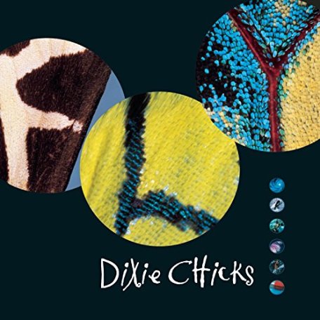 Виниловая пластинка Dixie Chicks FLY (Gatefold)