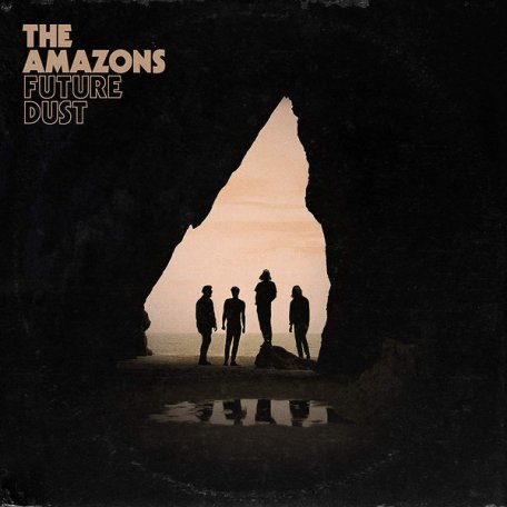 Виниловая пластинка The Amazons, Future Dust (Standard LP)