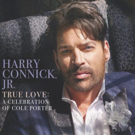 Виниловая пластинка Harry Connick Jr., True Love: A Celebration Of Cole Porter