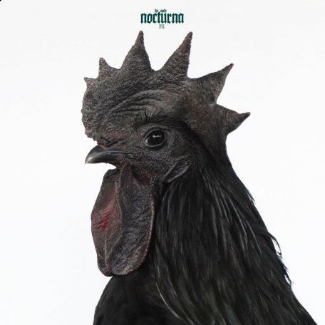 Виниловая пластинка Sade - Nocturna (Translucent Green LP)