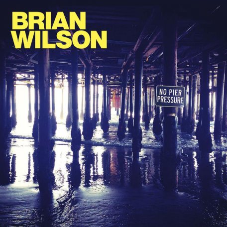 Виниловая пластинка Wilson, Brian, No Pier Pressure
