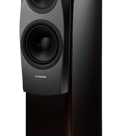 Напольная акустика Dynaudio Confidence 30 (Raven wood high gloss)