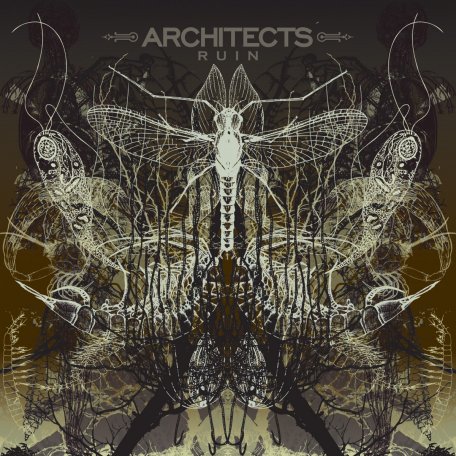 Виниловая пластинка Ruin - Architects (180 Gram Black Vinyl LP)