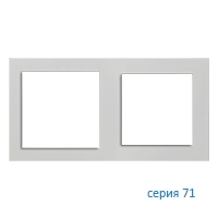 Ekinex Плата 71, EK-P2G-FGE,  2 поста (55х55 и 60х60),  материал - Fenix NTM,  цвет - Серый Эфес