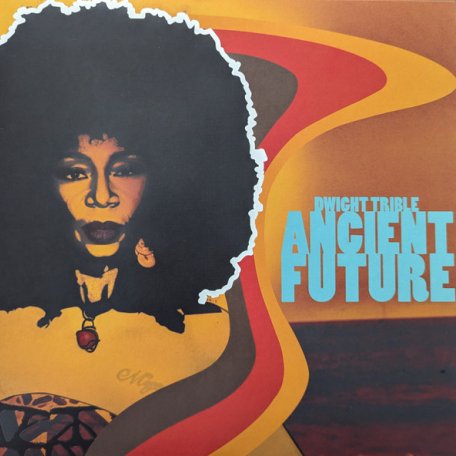 Виниловая пластинка Dwight Trible - Ancient Future (Black Vinyl LP)