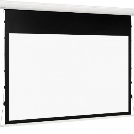 Экран Euroscreen Sesame Electric Video (4:3) 220*195cm (VA210*157,5) TabT Flexwhite case white