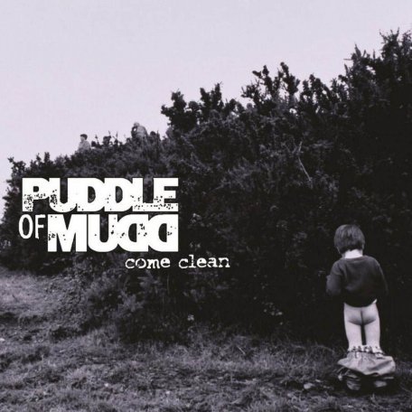 Виниловая пластинка Puddle Of Mudd – Come Clean