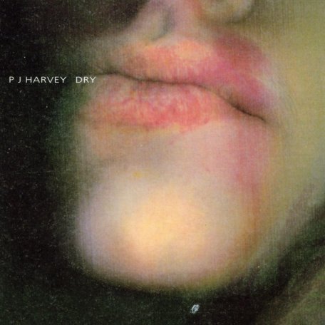 Виниловая пластинка Harvey, PJ - Dry (Black Vinyl LP)