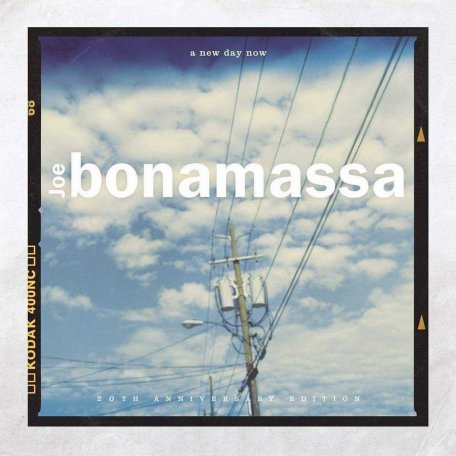 Виниловая пластинка Joe Bonamassa ‎– A New Day Now: 20th Anniversary Edition (Limited, Blue Vinyl)