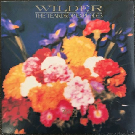 Виниловая пластинка The Teardrop Explodes, Wilder (2019 Reissue)