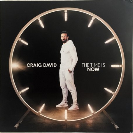 Виниловая пластинка Sony Craig David The Time Is Now (Gatefold)