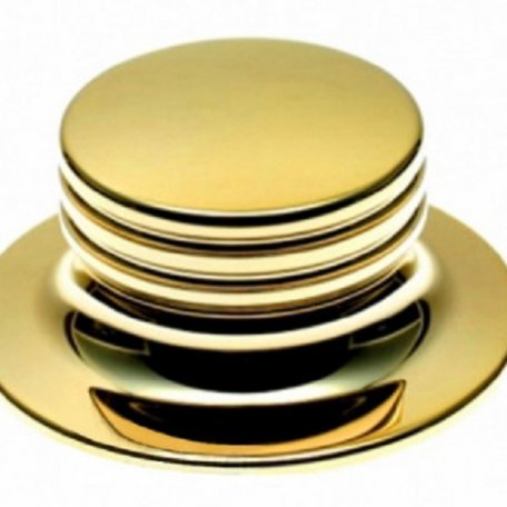 Прижимной диск Transrotor Platter weight Gold