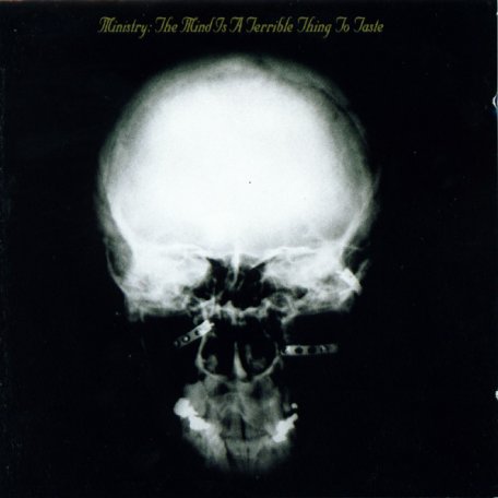 Виниловая пластинка Ministry THE MIND IS A TERRIBLE THING TO TASTE (180 Gram)