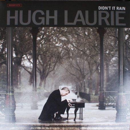 Виниловая пластинка Hugh Laurie DIDNT IT RAIN (180 Gram)