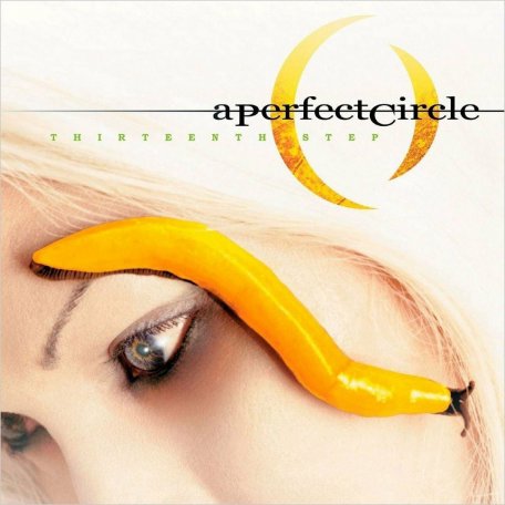 Виниловая пластинка A Perfect Circle - Thirteenth Step