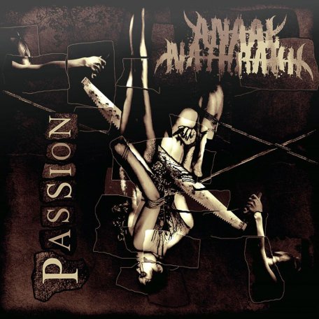 Виниловая пластинка Anaal Nathrakh - Passion
