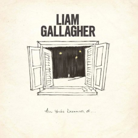 Виниловая пластинка Liam Gallagher - All Youre Dreaming Of… (Limited Black Vinyl/1 Track)
