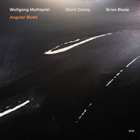 Виниловая пластинка Wolfgang Muthspiel/S.Colley, B.Blade — ANGULAR BLUES (LP/180g)