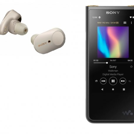 Комплект персонального аудио Sony Walkman NW-ZX507 black + WF-1000XM3 silver