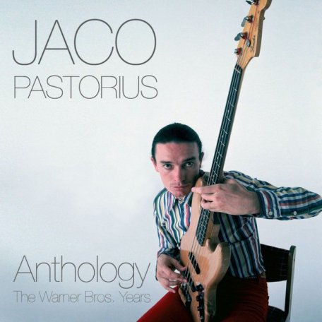 Виниловая пластинка Jaco Pastorius  THE WARNER BROS. YEARS VBO (180 Gram)