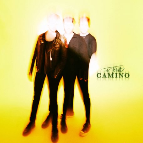 Виниловая пластинка The Band Camino - The Band Camino