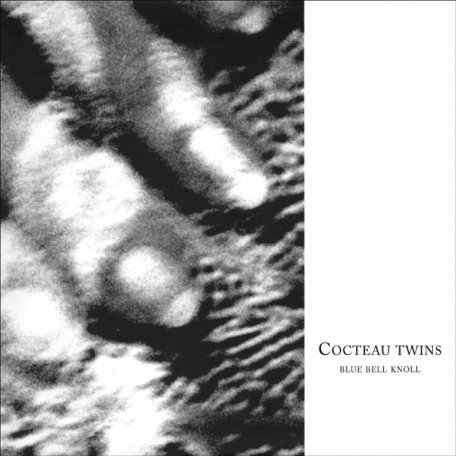 Виниловая пластинка Cocteau Twins - Blue Bell Knoll (Black Vinyl LP)