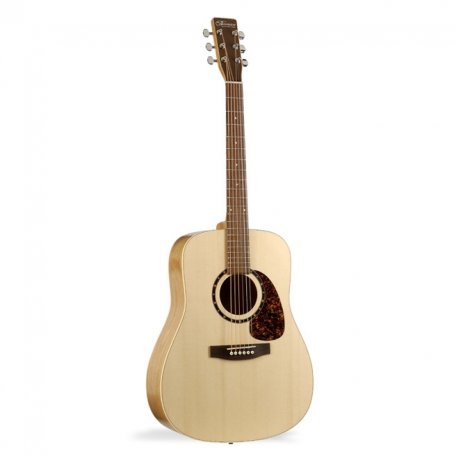 Акустическая гитара Norman 000890 Encore B20