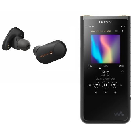 Комплект персонального аудио Sony Walkman NW-ZX507 black + WF-1000XM3 black