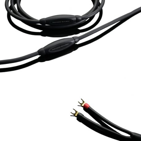 Акустический кабель Transparent MusicWave G6 BIWIRE SC SP > BWSP (4,5 м)