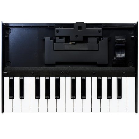 Клавишный инструмент Roland K-25m